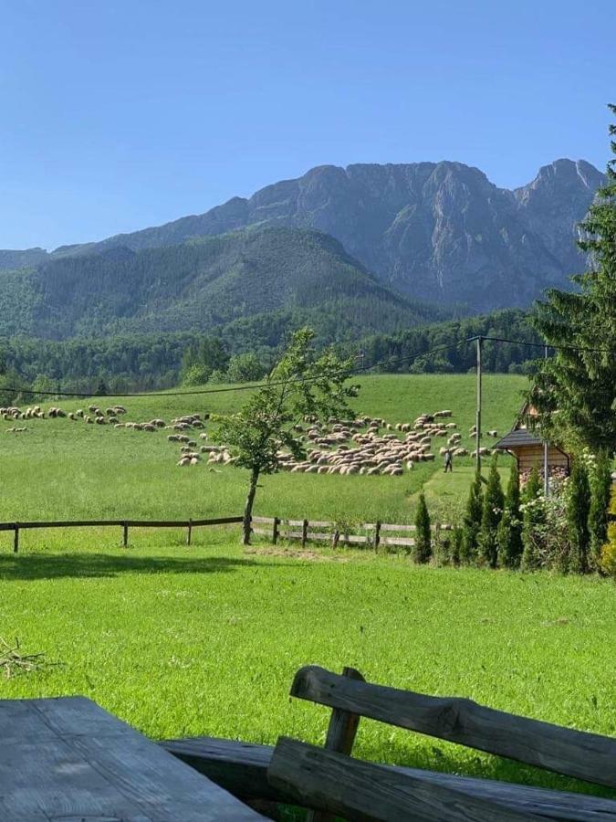 Bacowka Na Bundowkach Apartment Zakopane Ngoại thất bức ảnh